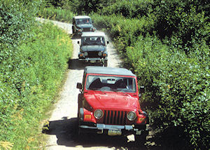 Backcountry Jeep & Canoe Safari